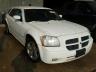 DODGE - MAGNUM