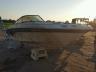 SEARAY - BOAT
