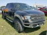 FORD - F150 SVT