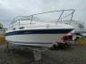 SEARAY - 230
