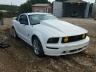 FORD - MUSTANG