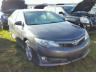 TOYOTA - CAMRY