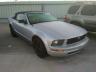 FORD - MUSTANG