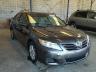 TOYOTA - CAMRY