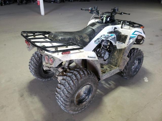 Kawasaki Brute Force 300