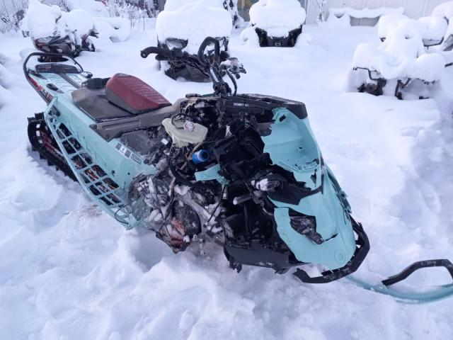 Ski Doo Freeride