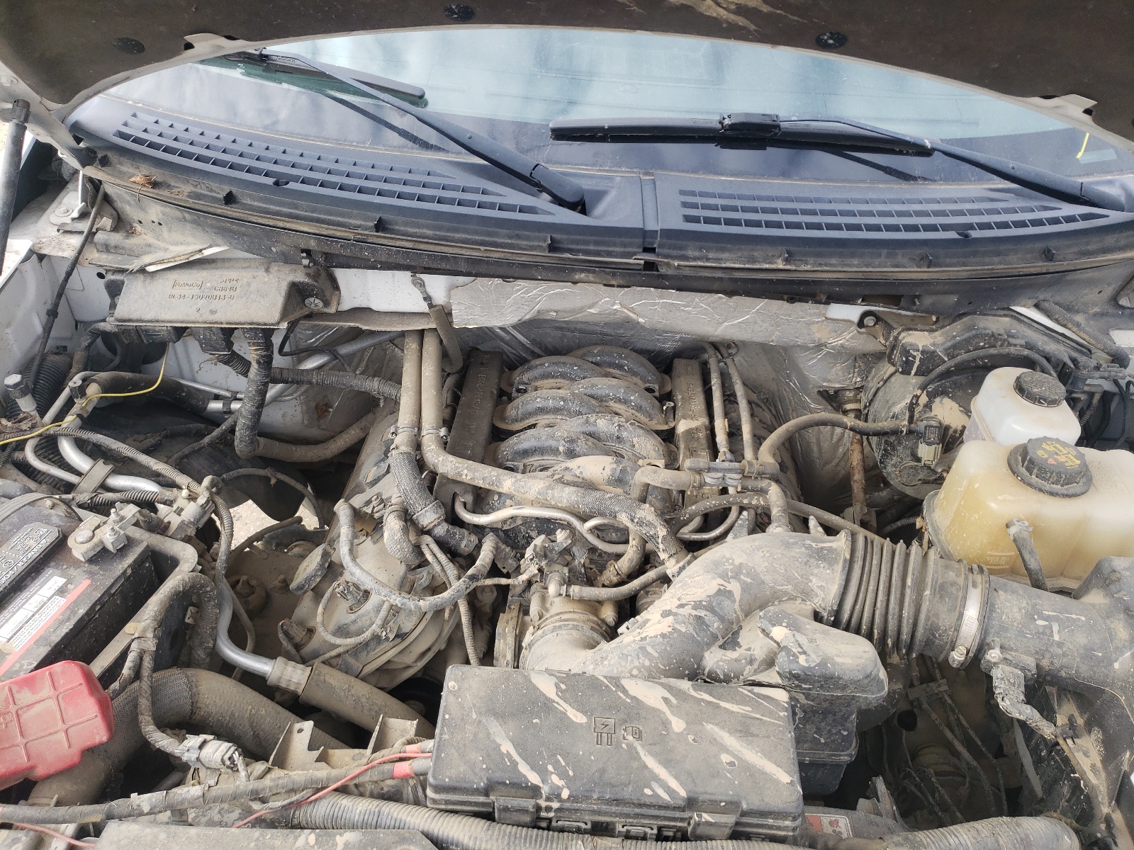 2012 Ford F150 Super Cab VIN: 1FTFX1EF6CFC64575 Lot: 61547045