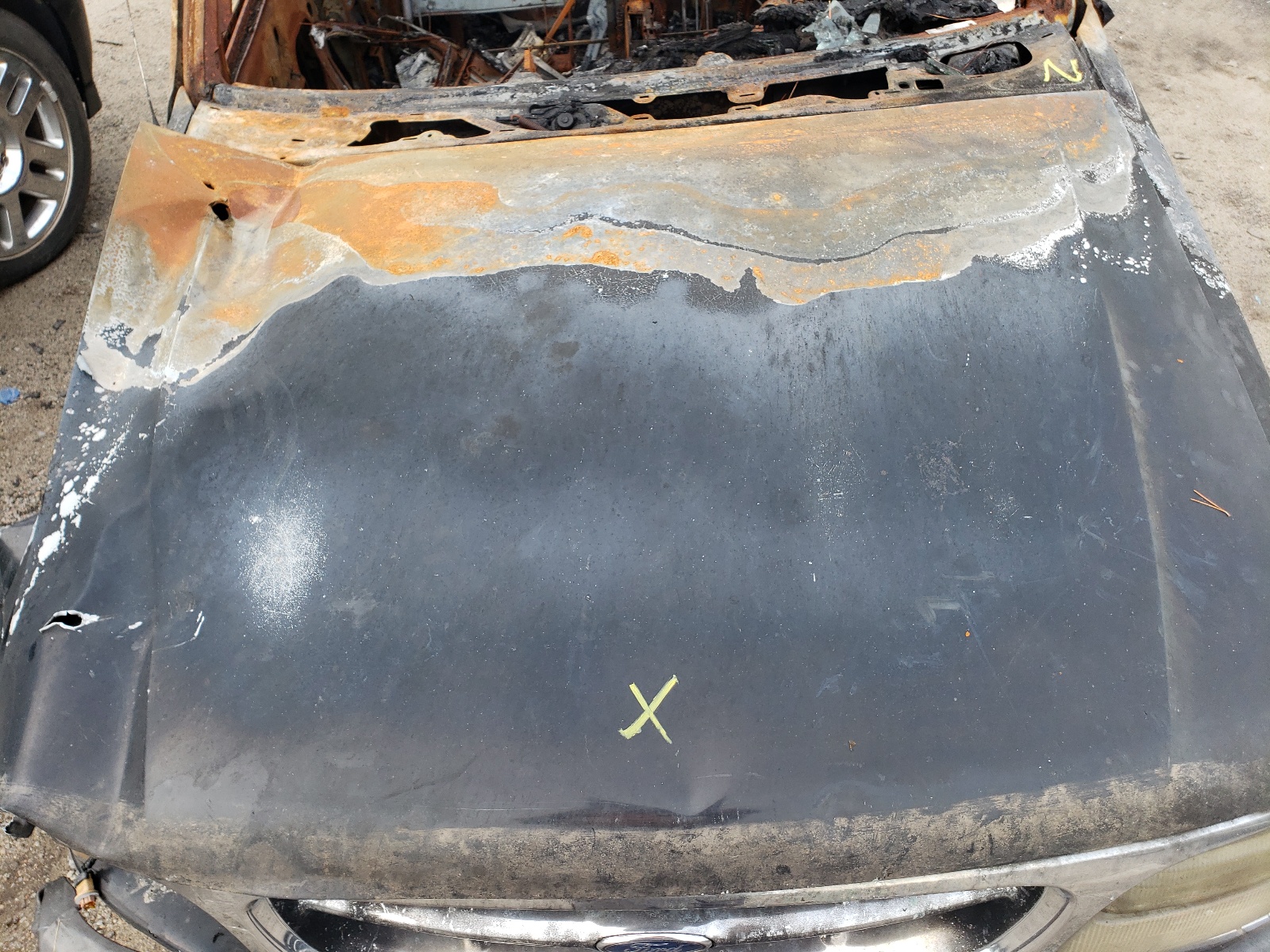 Global Auto Auctions