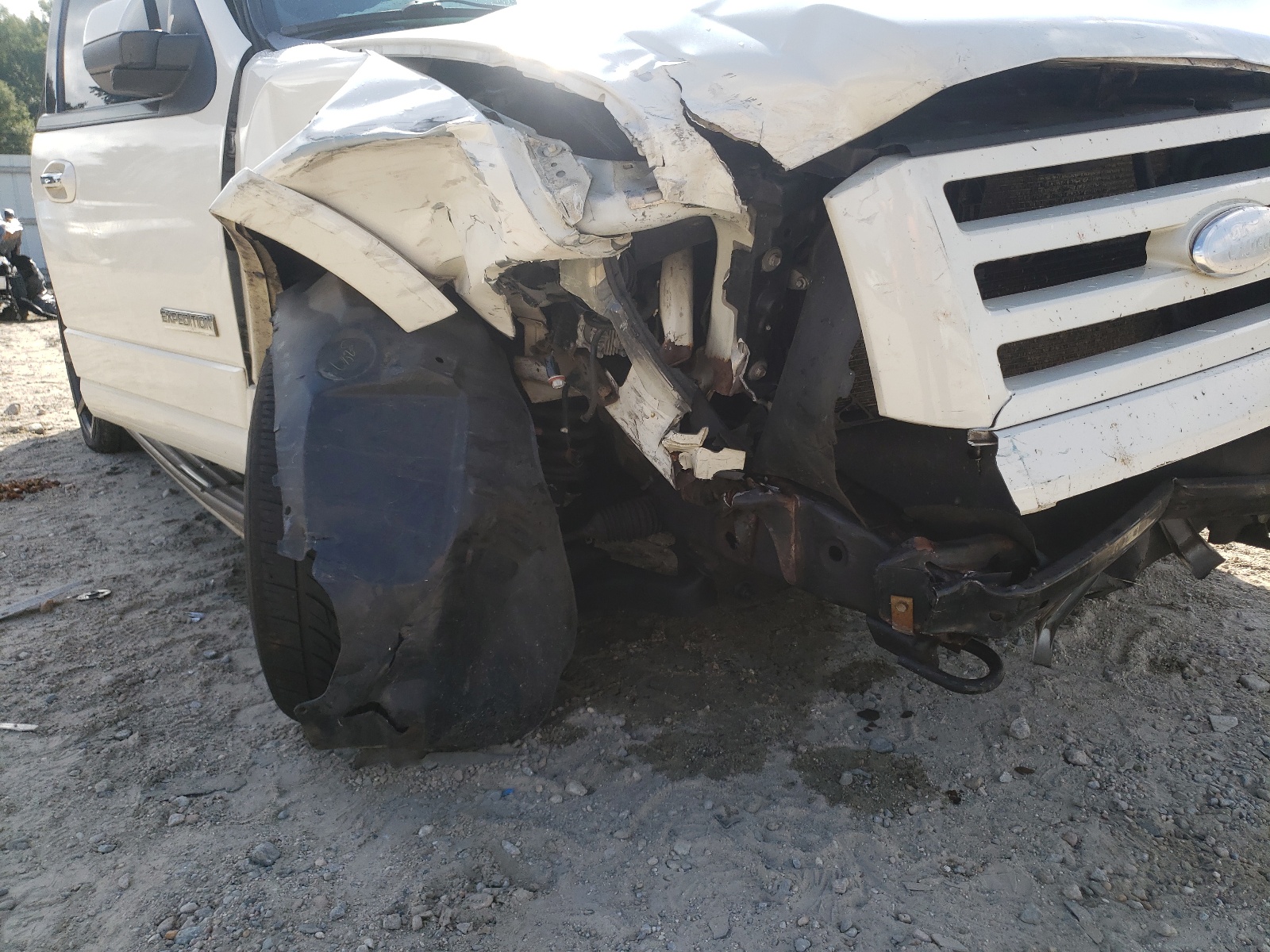 2008 Ford Expedition Limited VIN: 1FMFU20588LA47062 Lot: 72457983