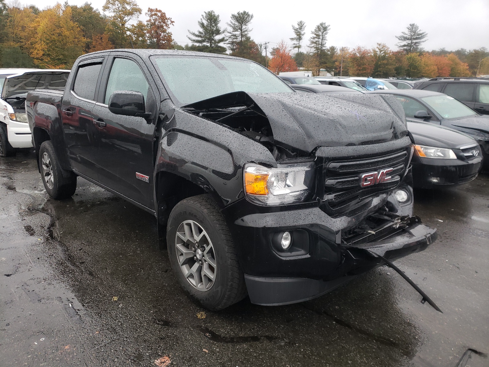1GTP6FE17K1229967 GMC CANYON ALL 2019