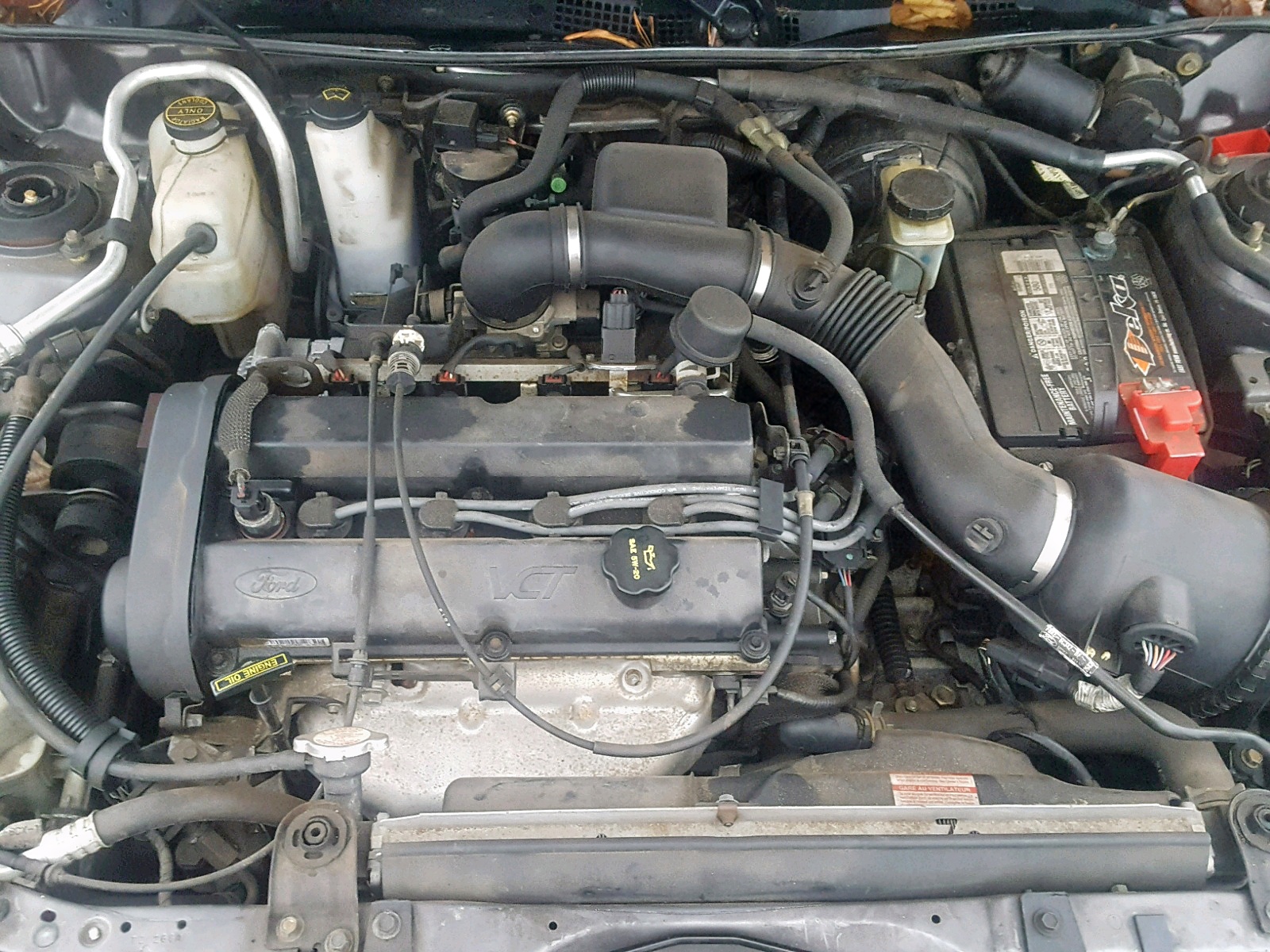 2003 ford escort zx2 oil type