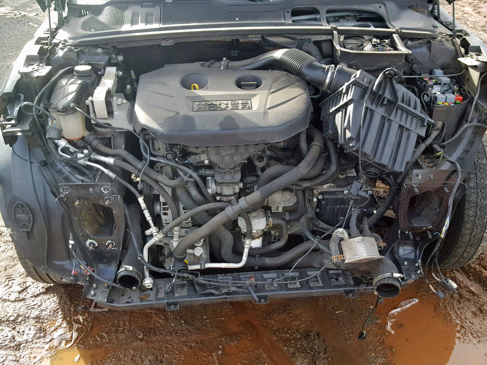 2013 LAND ROVER RANGE ROVER EVOQUE PURE PREMIUM for Sale NJ