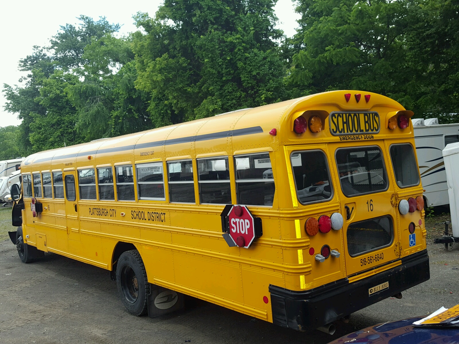 1BAKFCPA4BF281009 2011 YELLOW BLUE BIRD SCHOOL BUS on Sale in NY