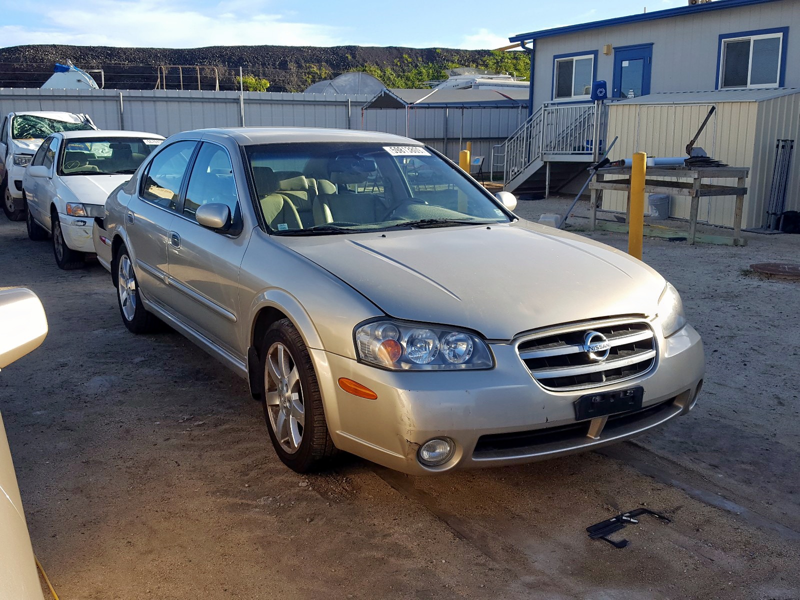 Nissan maxima gle