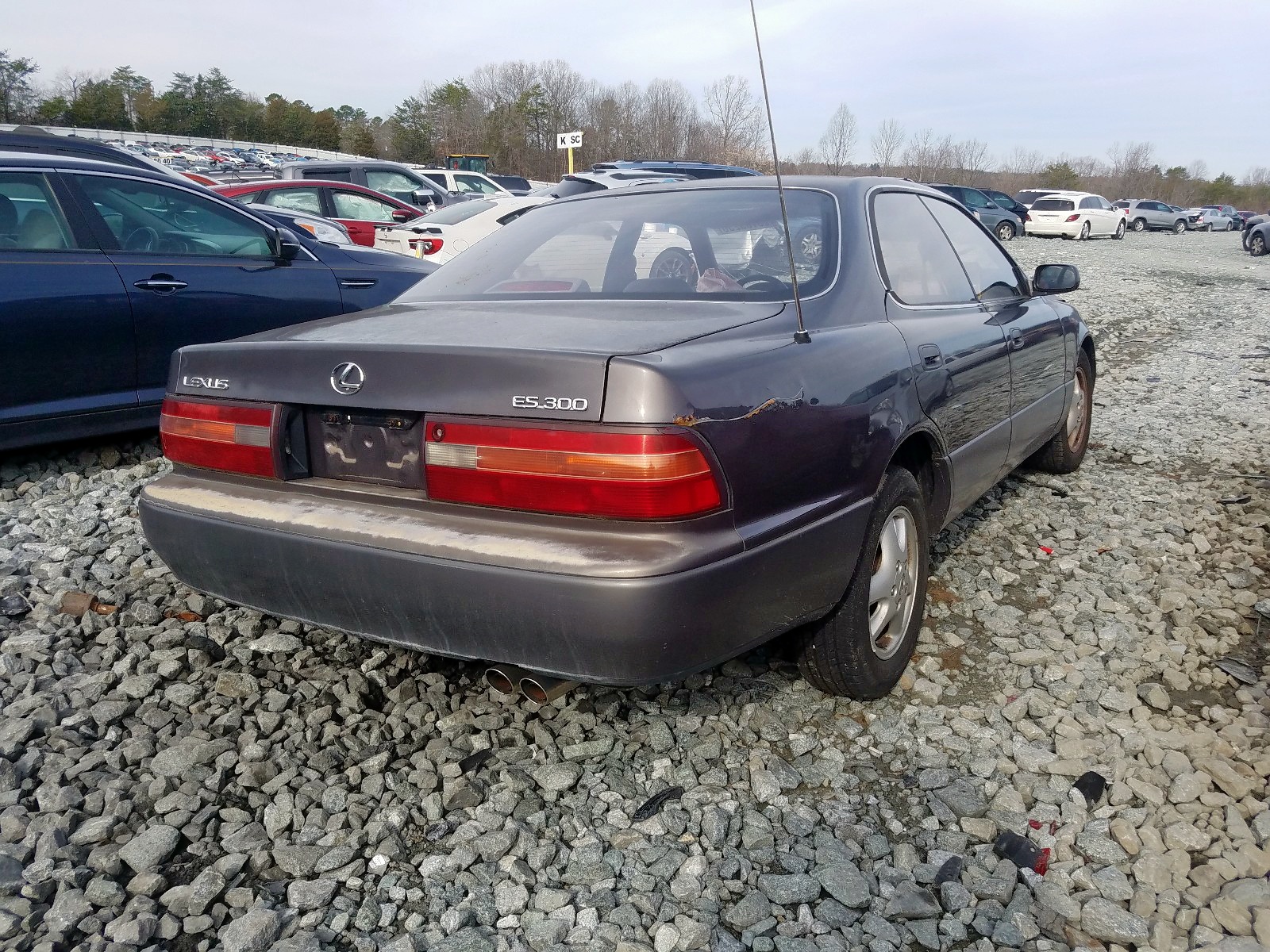 Lexus es300 1995