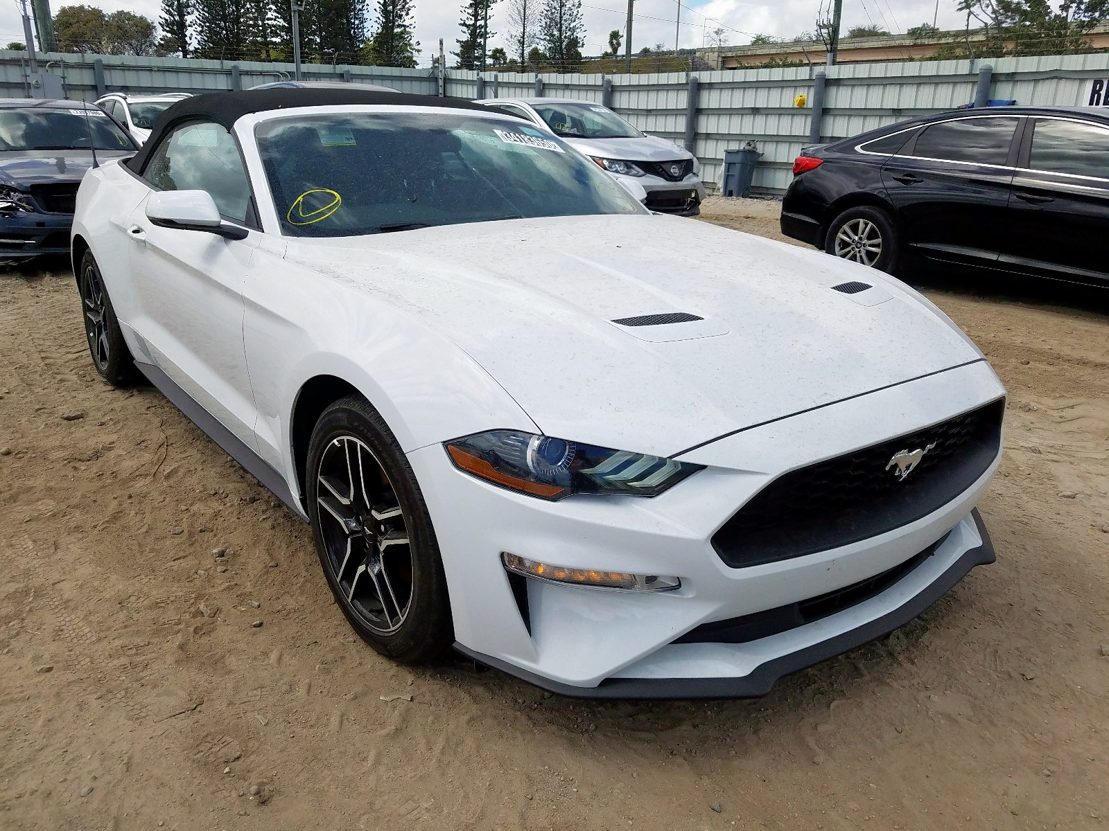 Mustang For Sale Miami