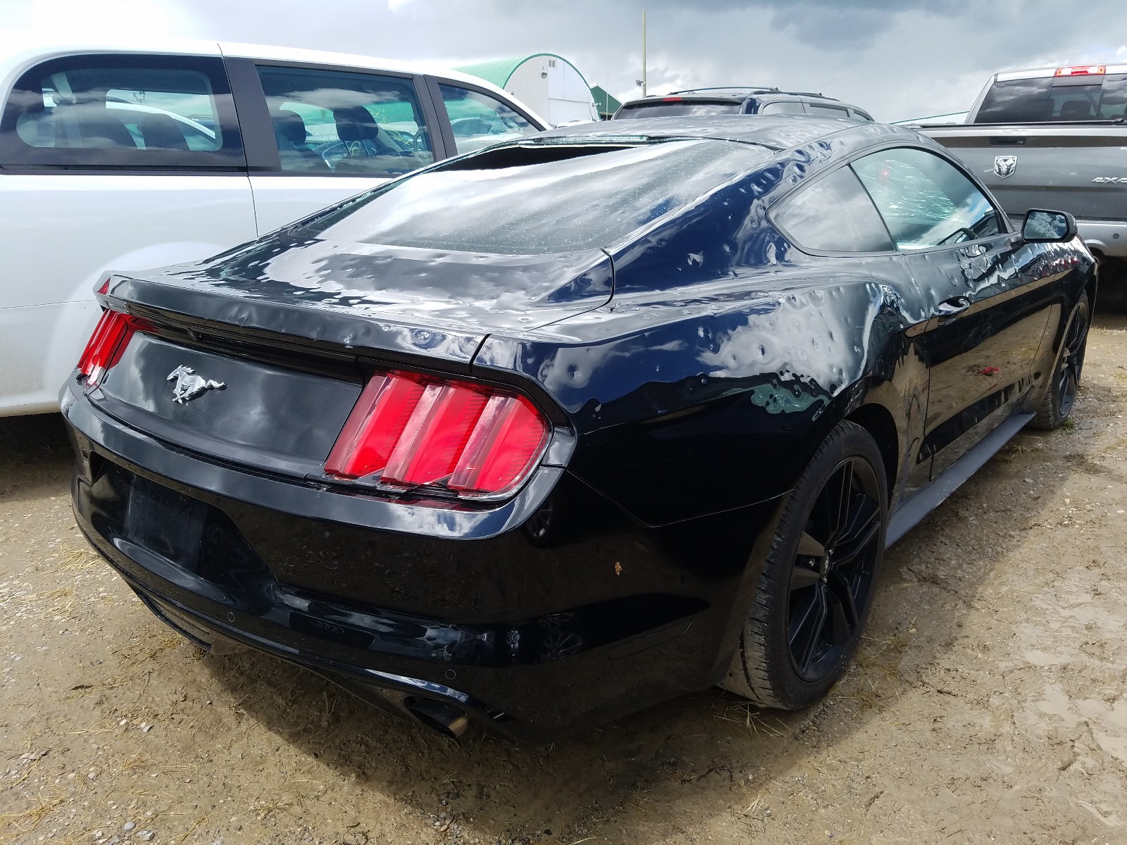 2017 FORD MUSTANG for Sale | AB - CALGARY - Vehicle at Copart Canada