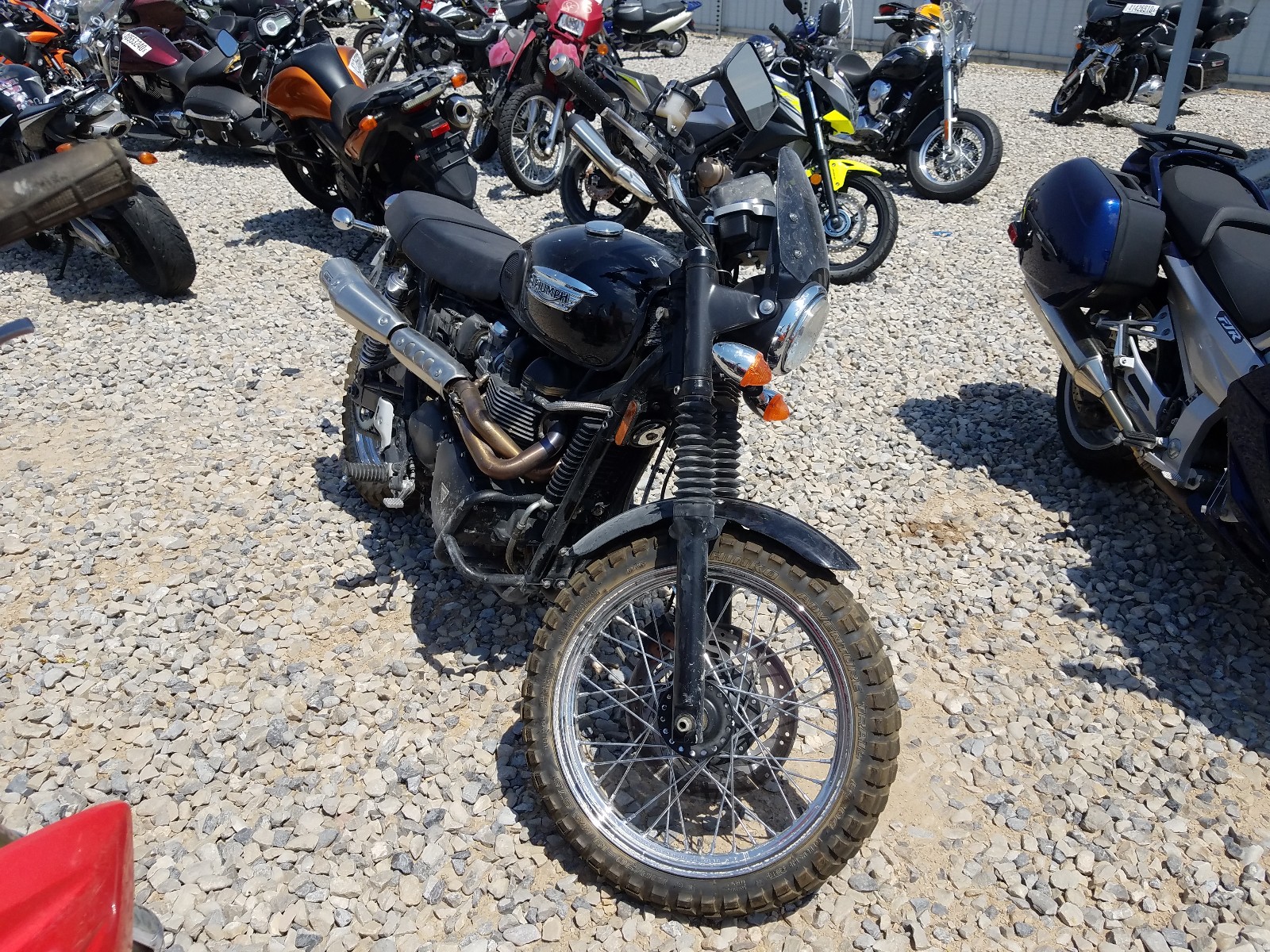 2010 triumph scrambler for sale