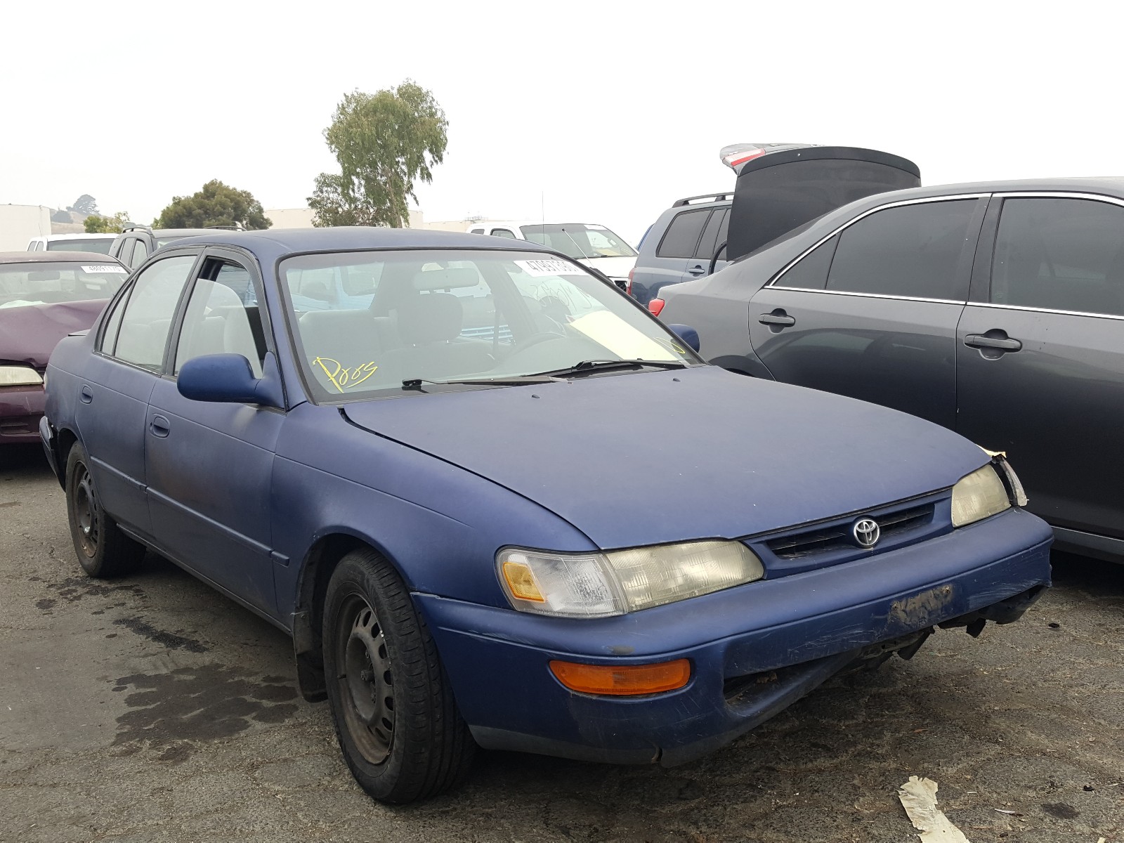 TOYOTA COROLLA DX 1997, 1NXBB02E8VZ625298 — Auto Auction Spot