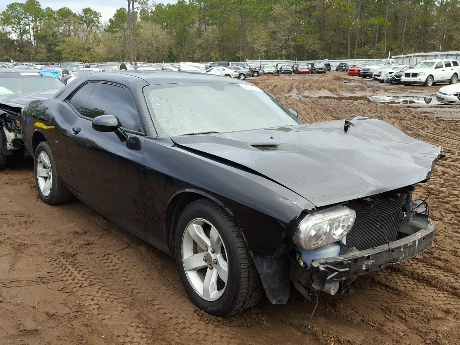 Dodge Challenger Salvage