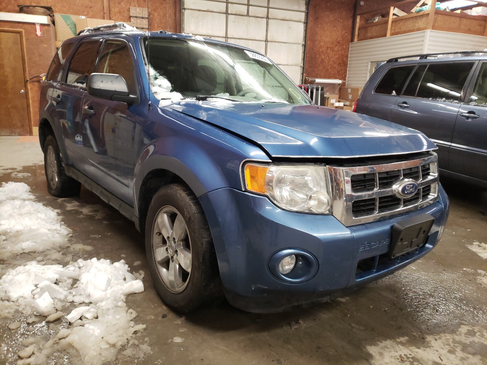 Ford Escape Blue 2010