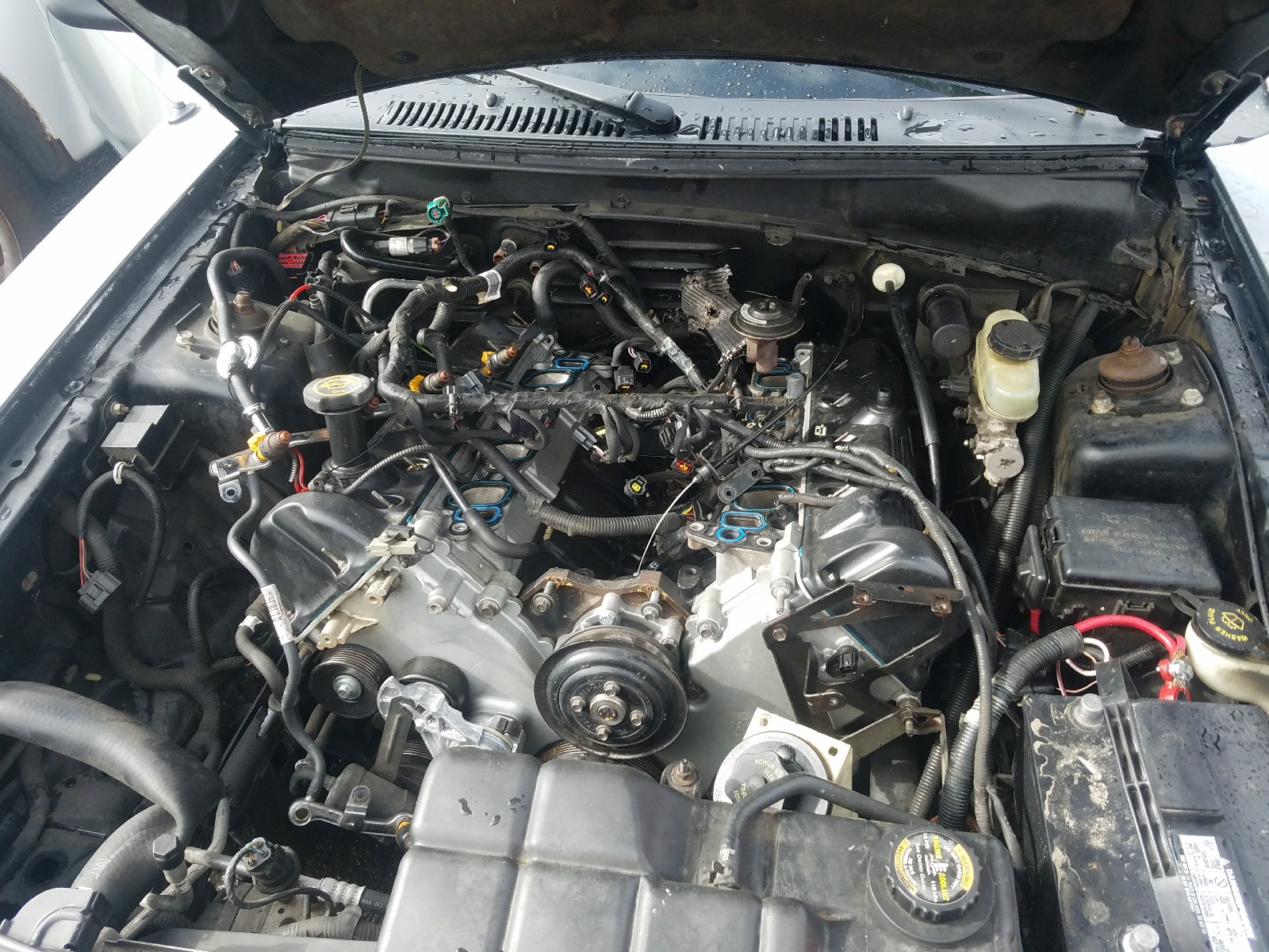 2000 ford mustang engine for sale