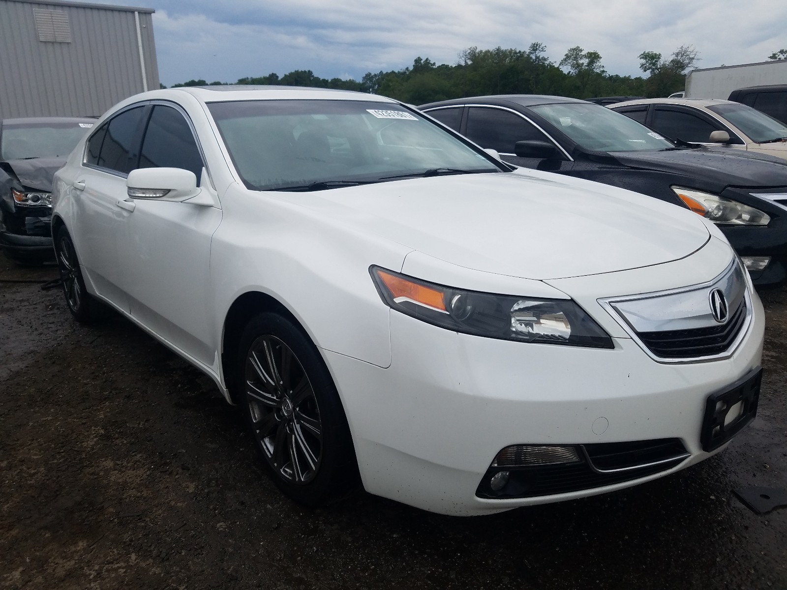 Acura TL 2014