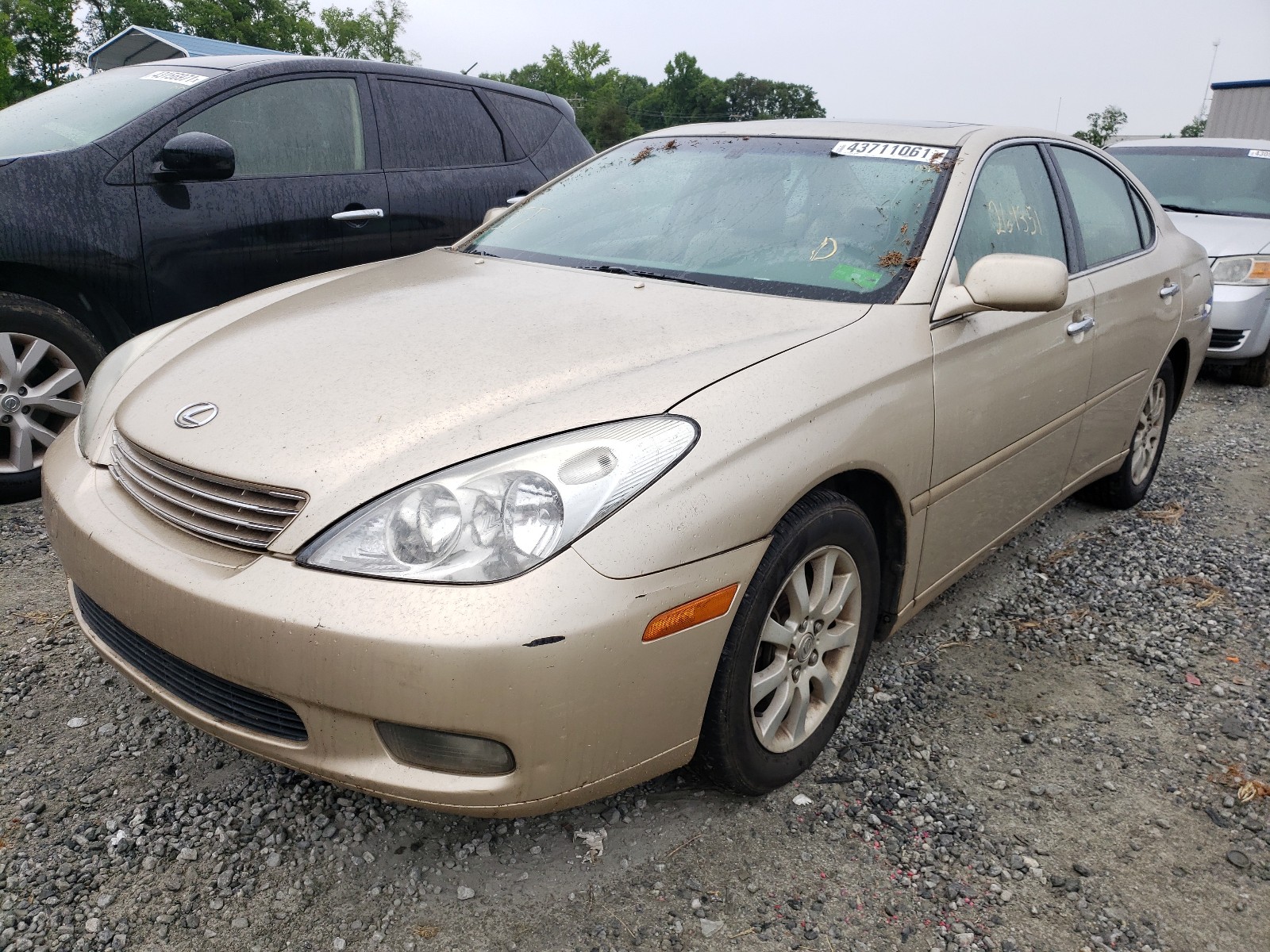 2003 LEXUS ES 300 for Sale SC SPARTANBURG Tue. Jun
