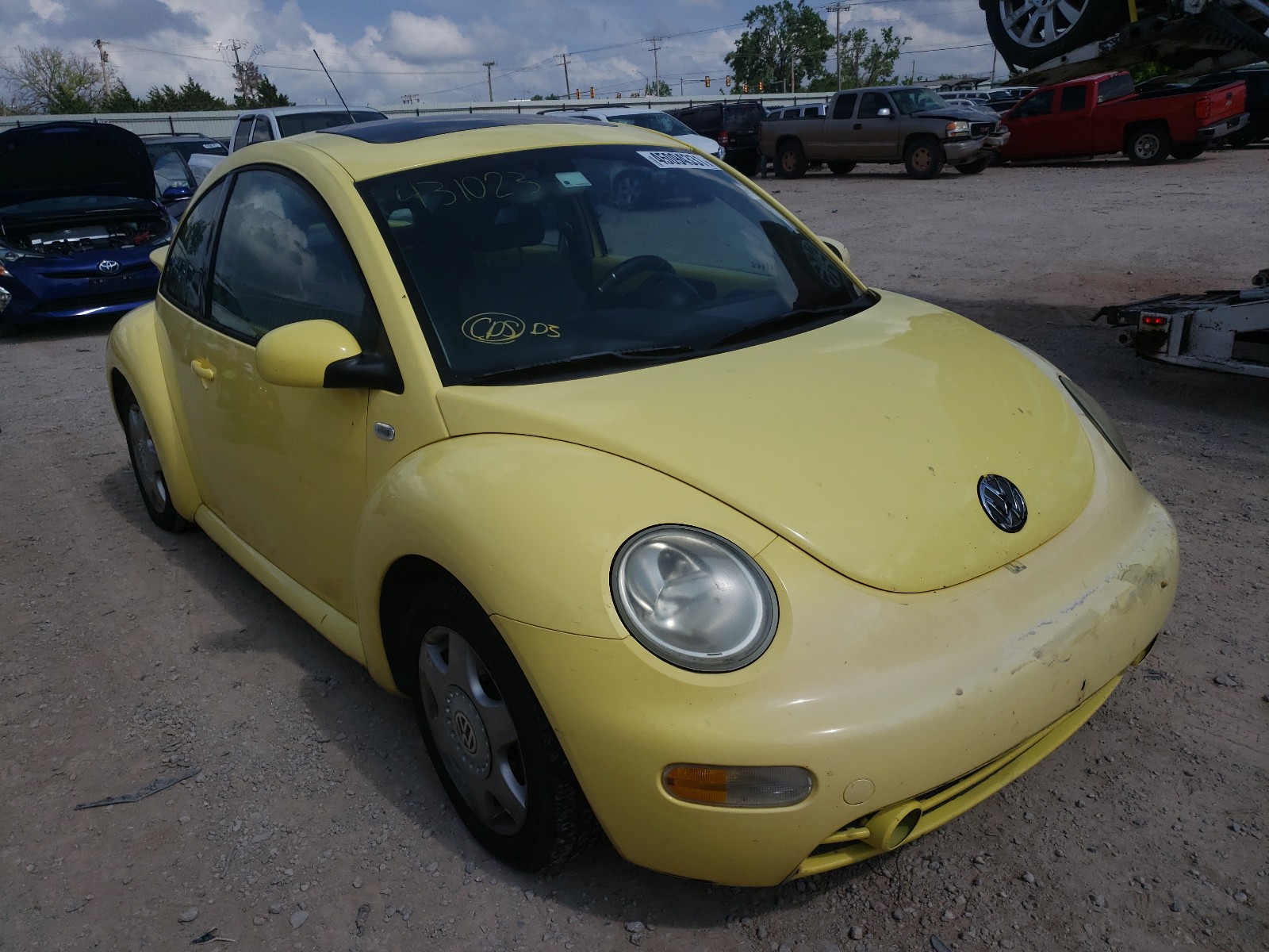 Beetle 2001