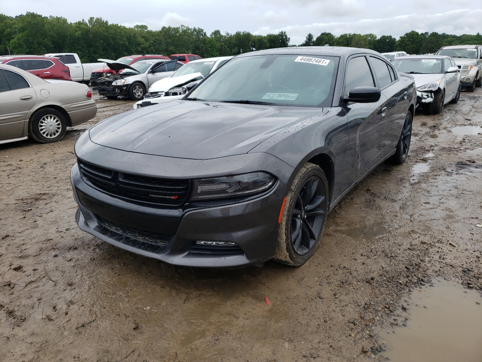 2017 Dodge Charger Sxt VIN: 2C3CDXHG1HH505312 Lot: 44982481