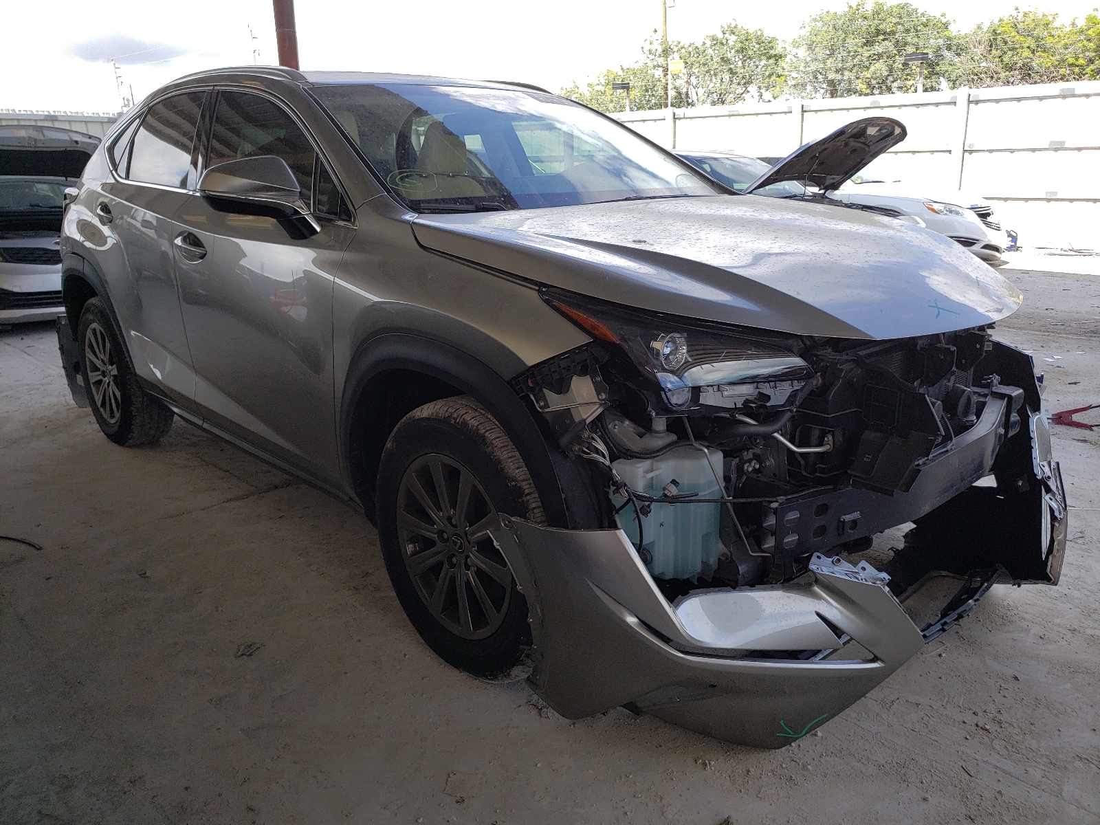 LEXUS NX 300 BAS 2019, JTJYARBZ7K2143693 — Auto Auction Spot