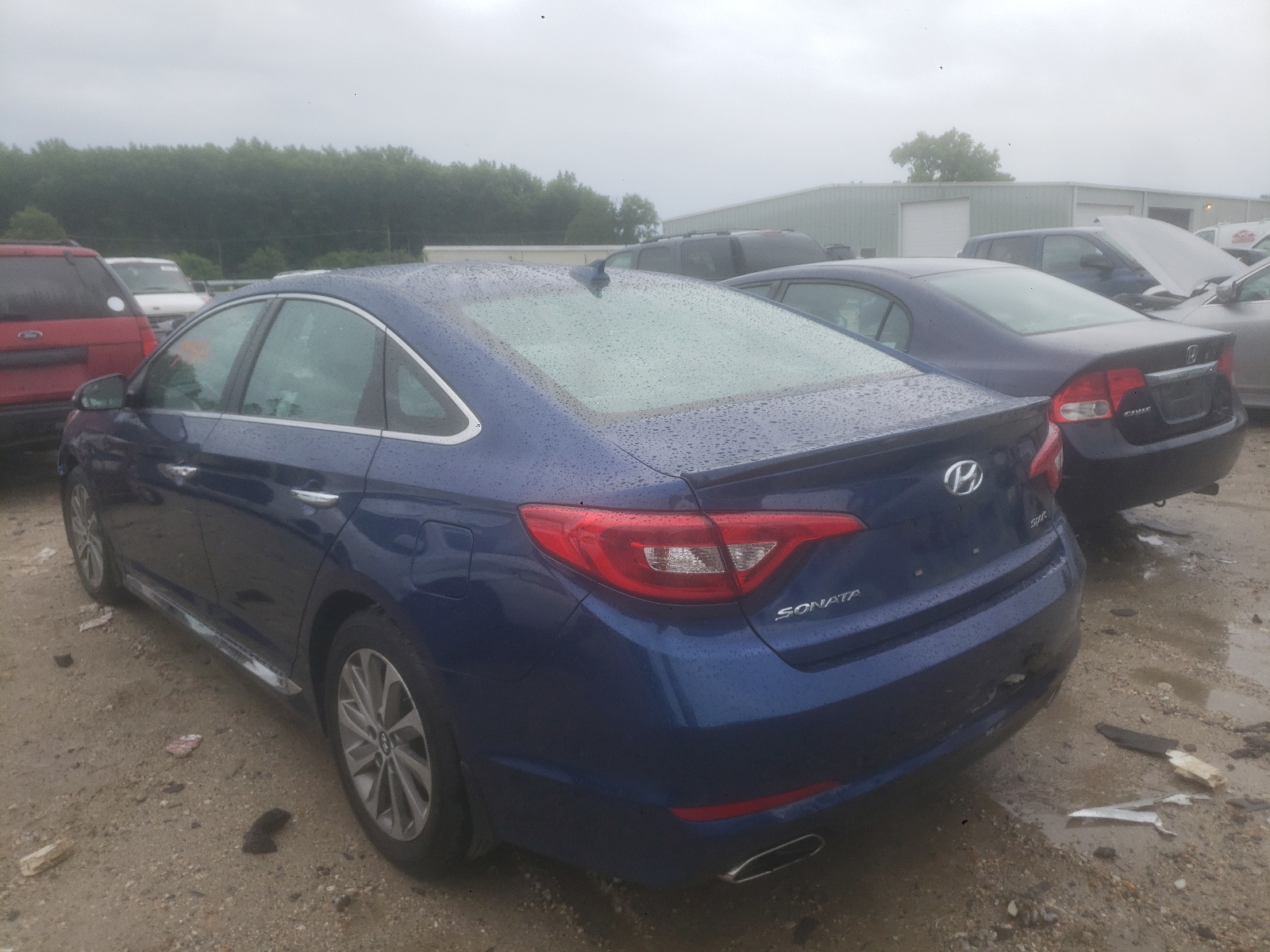 2017 Hyundai Sonata Sport VIN: 5NPE34AF2HH567025 Lot: 47923091