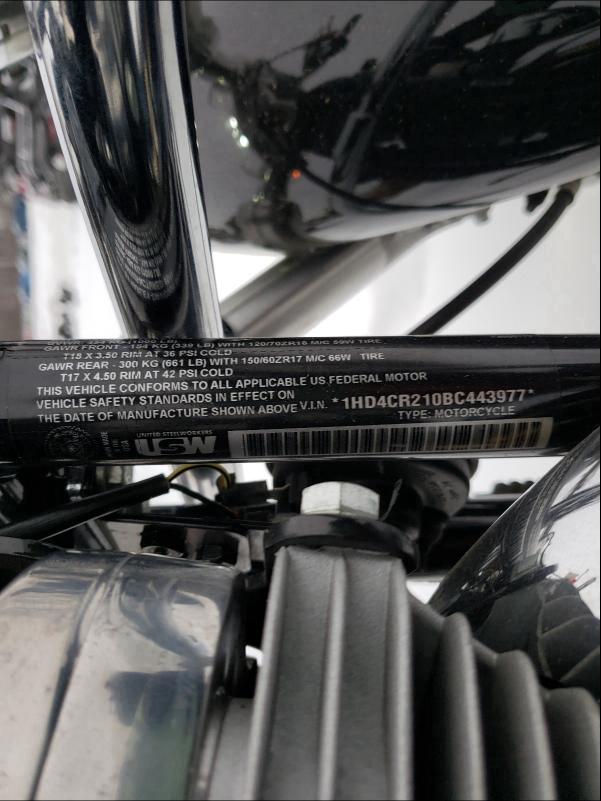 2011 HARLEY-DAVIDSON XL883 L 1HD4CR210BC443977