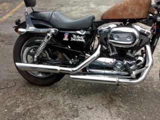 2006 HARLEY-DAVIDSON XL1200 C 1HD1CGP146K411917