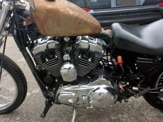 2006 HARLEY-DAVIDSON XL1200 C 1HD1CGP146K411917