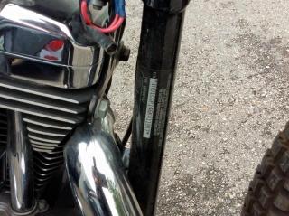 2006 HARLEY-DAVIDSON XL1200 C 1HD1CGP146K411917