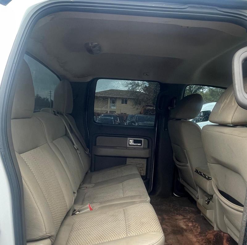 2010 FORD F150 SUPER 1FTFW1EV5AFA79487