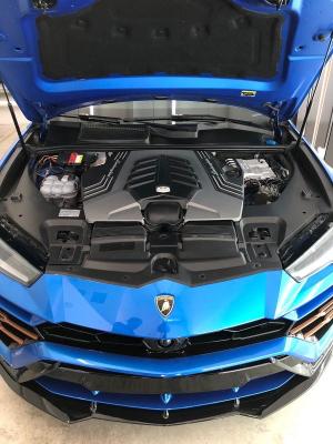 VIN ZPBUA1ZL3KLA03549 2019 Lamborghini Urus no.7