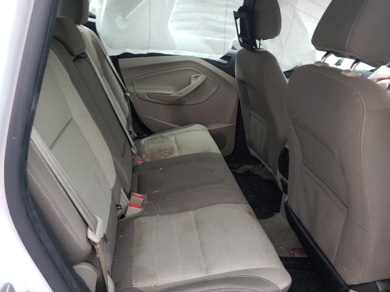 2014 FORD C-MAX SE 1FADP5AU7EL505119