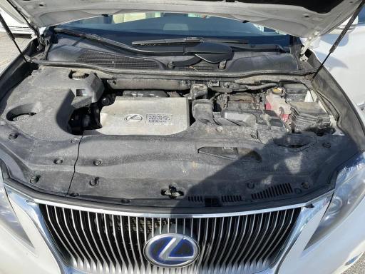 2010 LEXUS RX 450 JTJBC1BA9A2022478