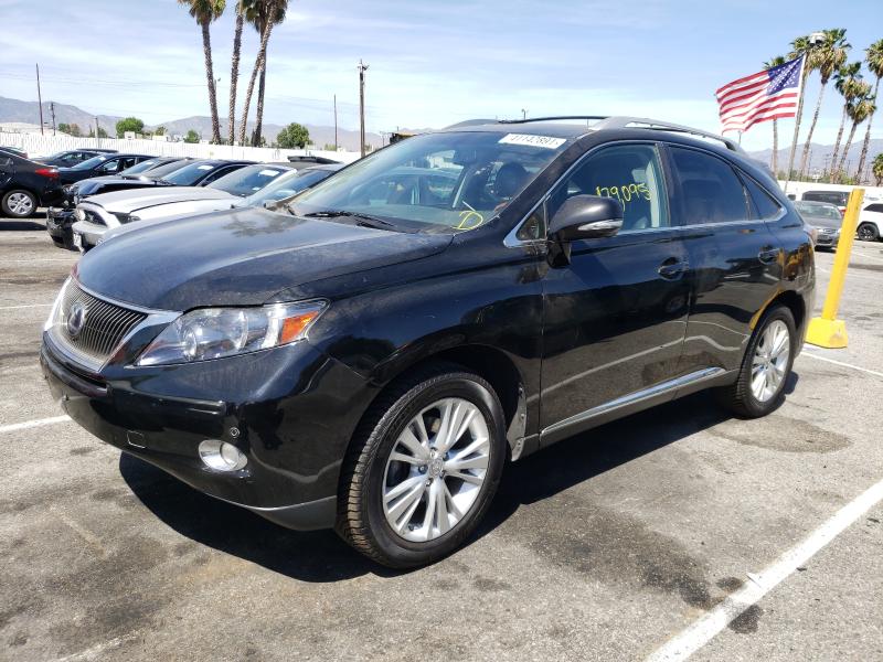 2010 LEXUS RX 450 JTJBC1BA2A2031698