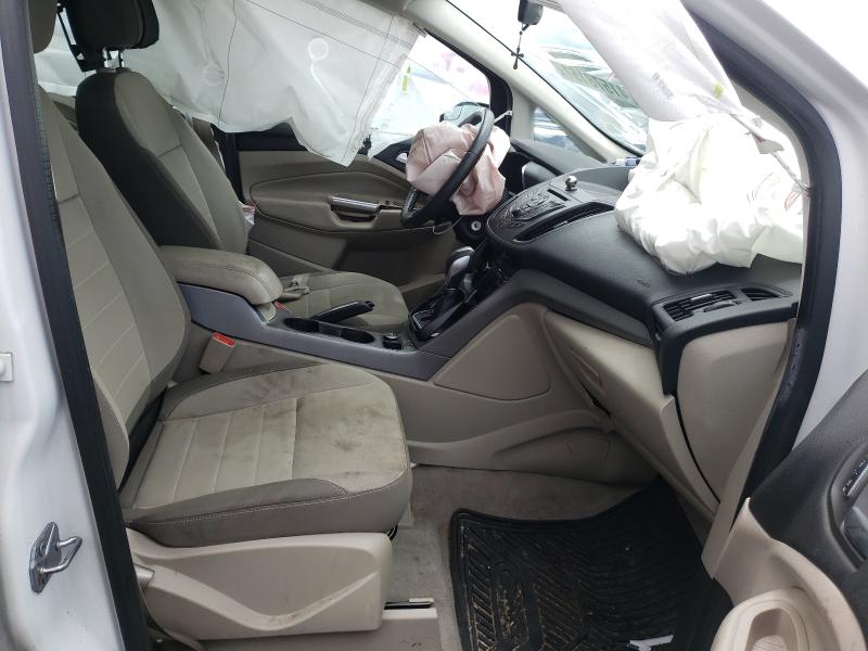 2014 FORD C-MAX SE 1FADP5AU7EL505119