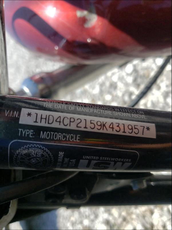 2009 HARLEY-DAVIDSON XL883 C 1HD4CP2159K431957