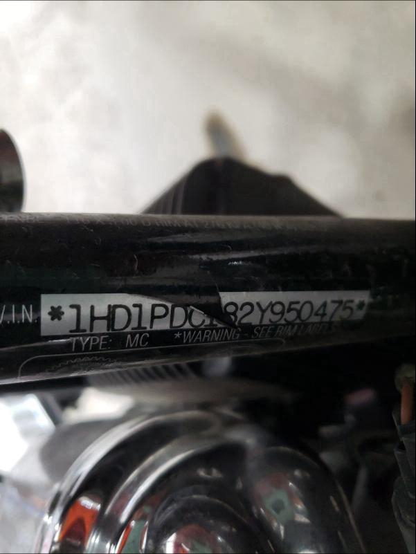 2002 HARLEY-DAVIDSON FLHRSEI 1HD1PDC182Y950475