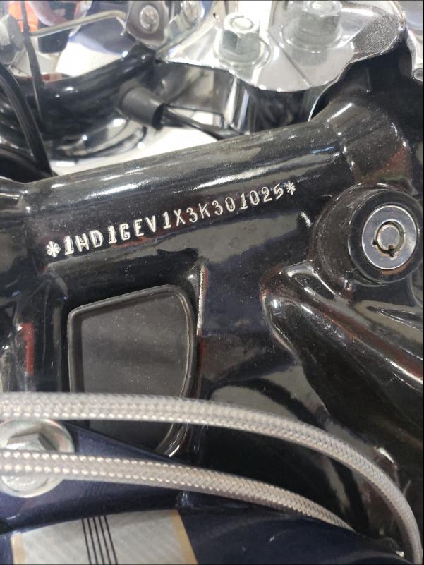 2003 HARLEY-DAVIDSON FXDWG 1HD1GEV1X3K301025