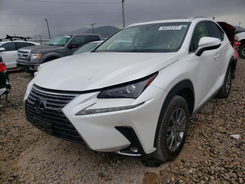 2019 LEXUS NX 300H JTJBJRBZ1K2103311