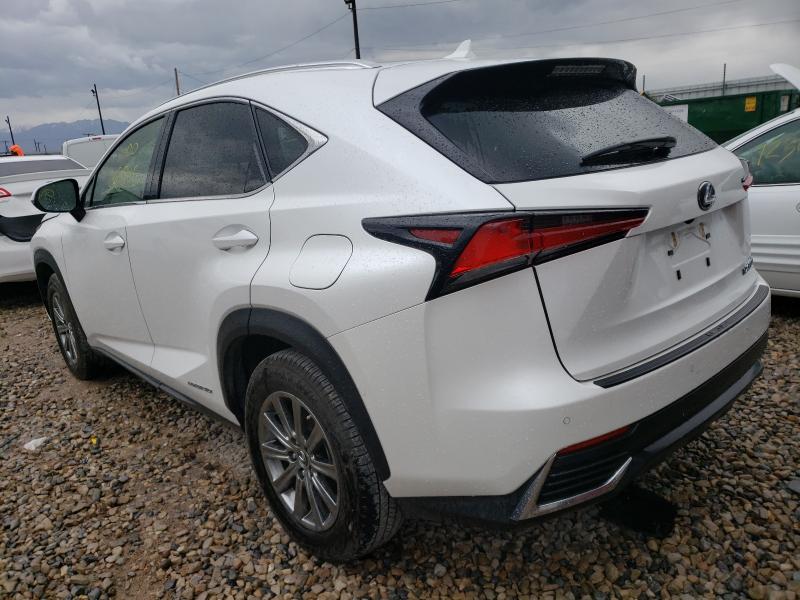 2019 LEXUS NX 300H JTJBJRBZ1K2103311