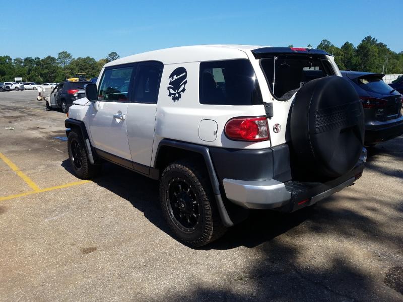 2010 TOYOTA FJ CRUISER JTEZU4BF6AK008979