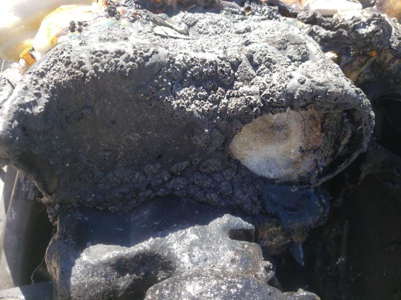 2016 POLARIS SLINGSHOT 57XAASFA7G7115104