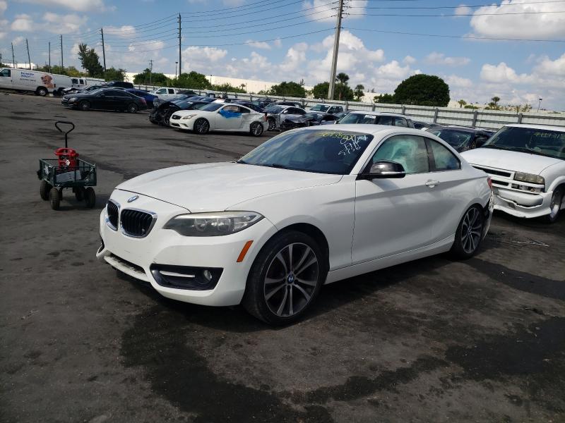 2014 BMW 228 I WBA1F5C53EV255756